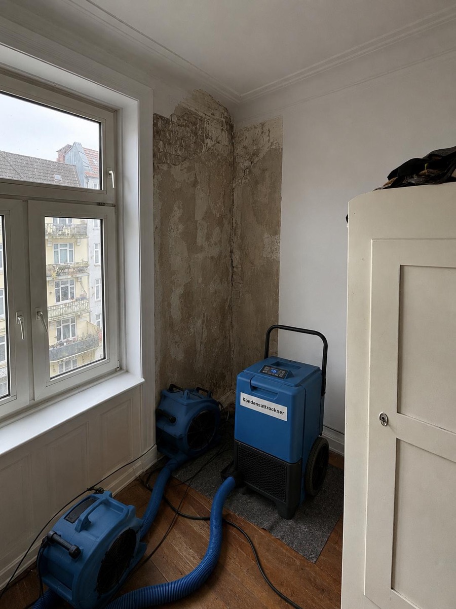 Kondensattrockner und Ventilatoren trocknen die betroffene Wandecke